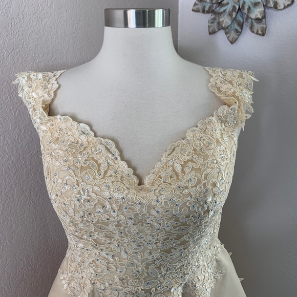 Dancing Queen Lace Crystal Princess Neckline Gown - Picture 3 of 16